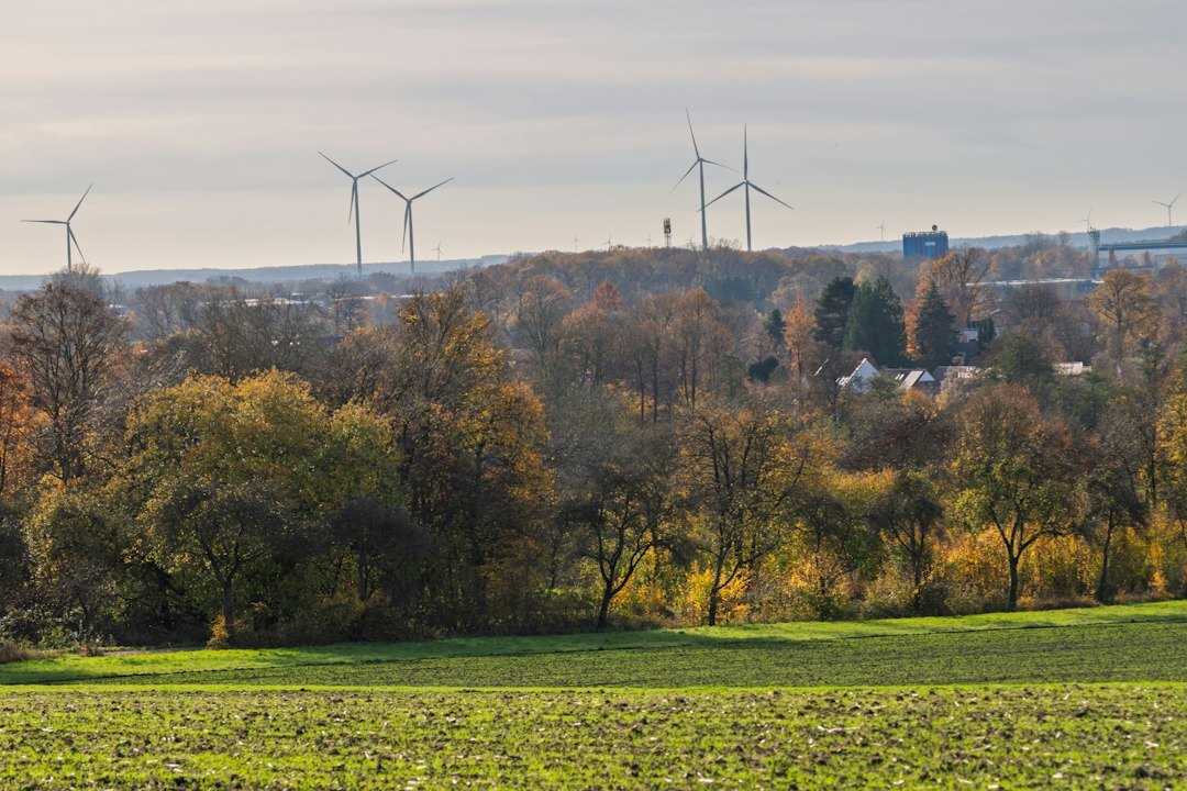 wind turbines in field